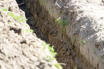 Eco-Friendly Options